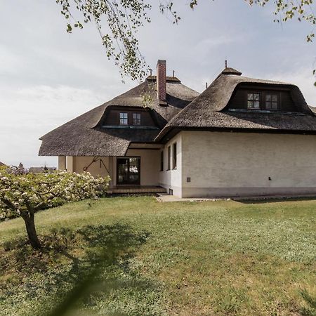 Ferienhaus Schilfvilla Mörbisch am See Exteriér fotografie